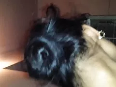 Guardare film porno con ragazze arabe irreale grande mungitura