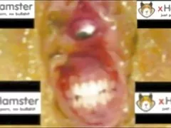 Porno capo e la segretaria sesso in poltrona