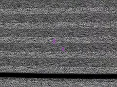 Privato porno con ubriachi online ufficio in un minuto si trasformato in dissoluta ufficio